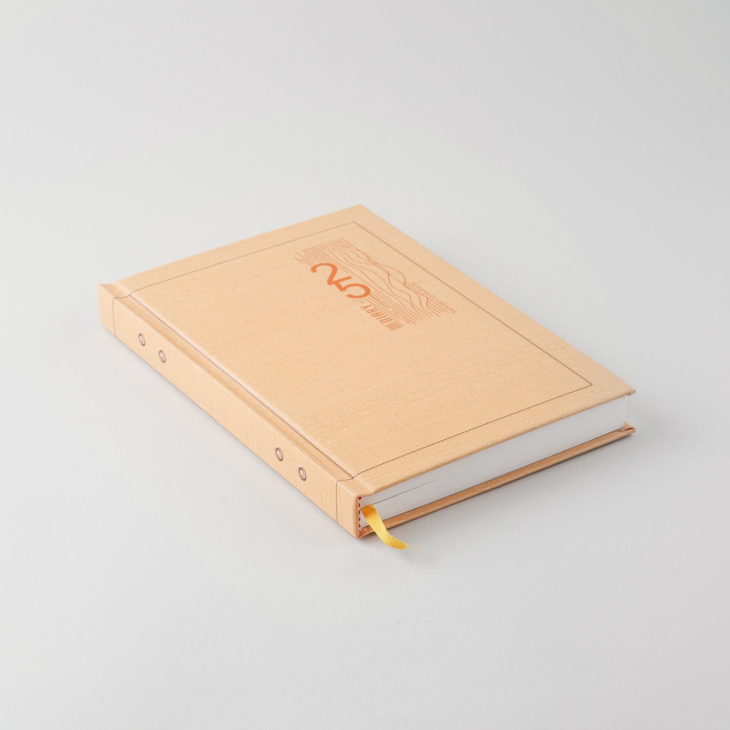 Paper Pasting Diary V-343