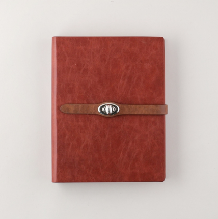 Premium Organizer V-430